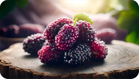 Mulberry Fruit(1)(1).jpg