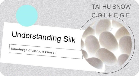 What is silk (7)(1)(1).jpg