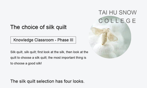 The choice of silk quilt.jpg