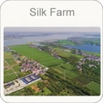 silk farm